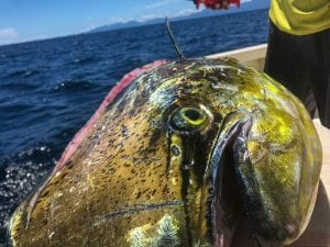 Fishing-Report-July14-27-Edited-Pix-16