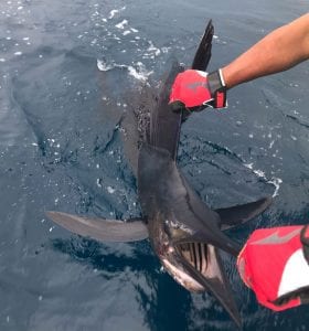 Fishing-Report-July14-27-Edited-Pix-2