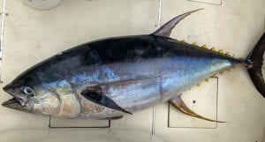 Fishing-Report-July14-27-Edited-Pix-31