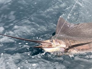 Fishing-Report-July14-27-Edited-Pix-45