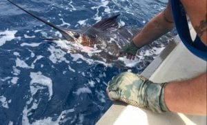 Fishing-Report-July14-27-Edited-Pix-47