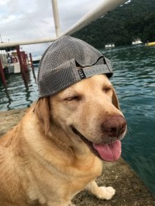 Fishing-Report-June-july4th-15