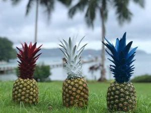 Fishing-Report-June-july4th-30