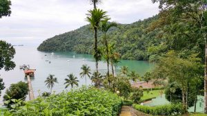 palace_view_tropic_star-small