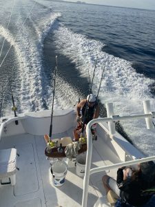 029F48F2-BA66-4ECA-B73D-A147C3EAA516