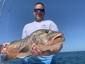 08CAAD22-3E22-4D90-8F0D-DEA5977084AA