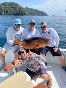 26BBA654-A60C-4450-BE93-44247C238B07