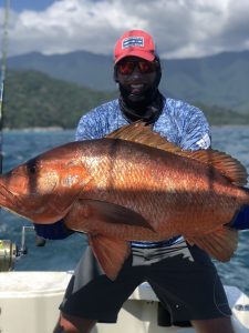 2D8D97E4-C869-4D59-ABA1-DDBD529BF727