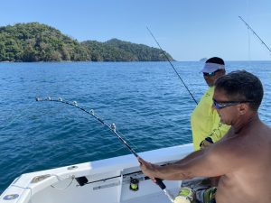 46B56930-C5D6-414E-9797-C97DE39CE9A7