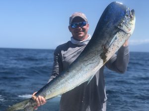 4C156D8C-1C0F-4DFF-935B-2ED66AE2DD4D