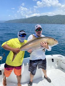 4D1AC116-DE18-43A9-94D1-4FD0D6B8AD66