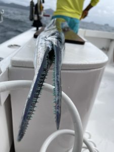 4EEB5E94-4CAC-492E-B75E-6665F6310641