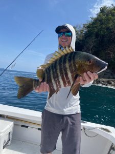 5E862696-BEF6-4210-B2BF-6C31021E9FB7