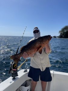 7B05504F-F12B-4A75-BE97-8D06766C4F26