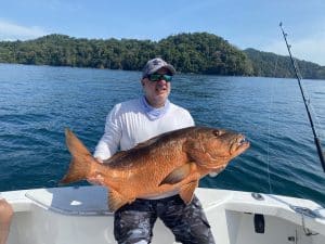 842266A0-5E0A-47B3-8F89-84BC49C1366F