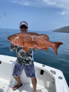 84A29576-98CD-41E2-A0E5-1BA56250FD2A