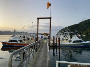 B0630DA7-098D-44A6-913E-A271DA807832