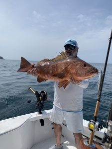 B9974767-D067-4A4D-8DEB-C37229ECFC22