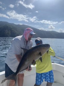 D77390B3-629A-4A0D-8076-900FDEA553EB