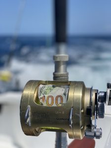 E01FE07C-16DE-4A4C-8110-D487071BB0F3