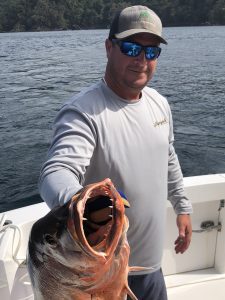 F076D1E1-C9C6-445B-AC8B-AD922D80523E