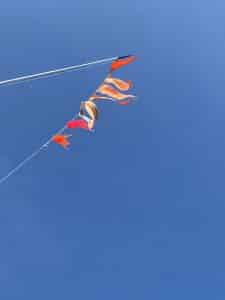 F1F49E6C-2B87-41BA-896D-09E1800531FA