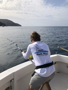 F580B461-FF1C-406B-ABAA-02E9ACF2C589