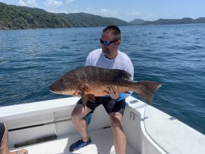 FB9F795A-346A-4DFF-978F-7B8537AF2B84