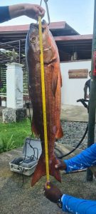 0d05e52b-1eff-47b2-859a-606eee0c2377