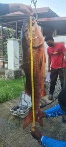 13d00cc2-e061-424a-a490-2f41fe8606ee