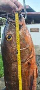 21d9c142-e930-4c67-ae12-b798aa809482