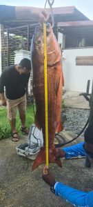 53eddb2d-f017-46cf-8dd9-f458f2a66b92