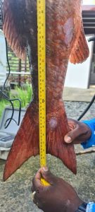 5452edc1-7473-494f-a670-60e132c286f0