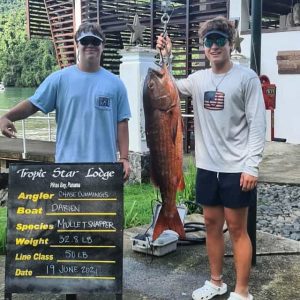 62037261-D1B2-4CAD-A2C0-B2955702CF98