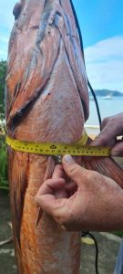 69fb7168-5394-4934-927a-b84ca79e53d1