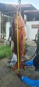 77e73221-dd81-47b6-a682-c95a03a27c83