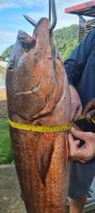 9f3d0e76-d4d6-4fad-b408-c0205375dad5