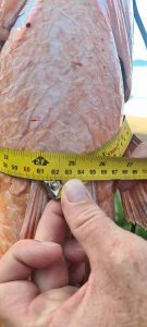 c48011ea-9ba2-4058-b7d4-e444d307f1d2