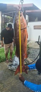 de72af4a-e172-45fc-b007-33904af5b8a4