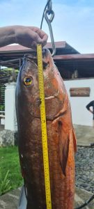 fdce5cdf-7a60-44c0-91e0-e3370ff72f25