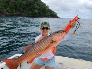 56c45f85-4e22-462d-8eda-48061b16077b