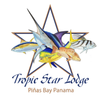 tropic-star-logo-blue-gold-04